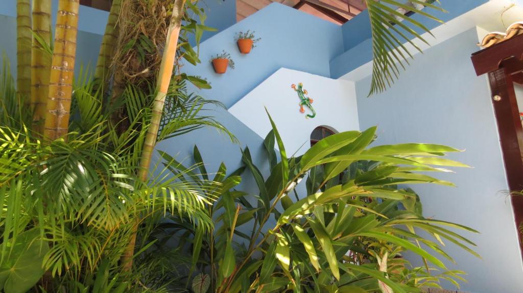 Pousada Raios De Luar Boicucanga Extérieur photo